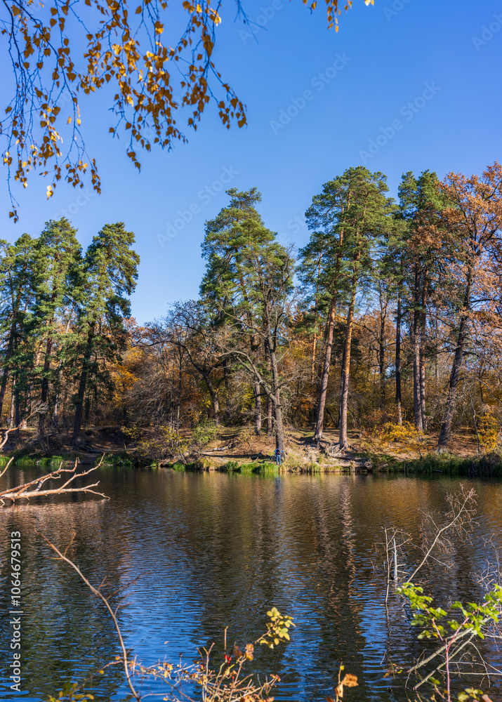 Fototapeta premium View of a serene city park with a beautiful lake surrounded by golden autumn foliage. Kyiv, Ukraine