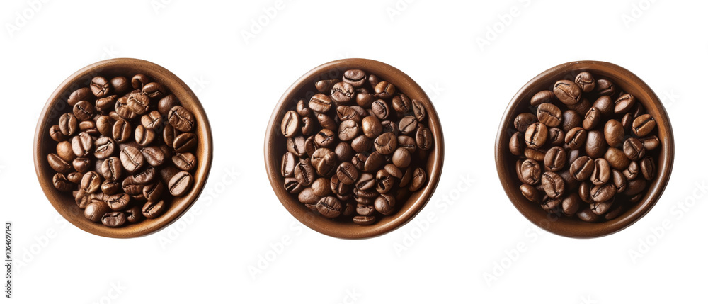 From Bean to Brew: The Essence of Coffee From Bean to Brew: The Essence of Coffee