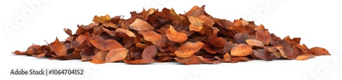 A Pile of Dry, Brown Leaves Isolated on a White Background