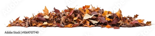 A Pile of Dried, Multicolored Autumn Leaves