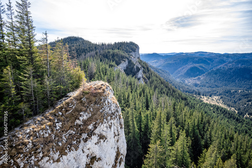 White limestone cliffs overlooking lush pine forest in apuseni mountains, romania