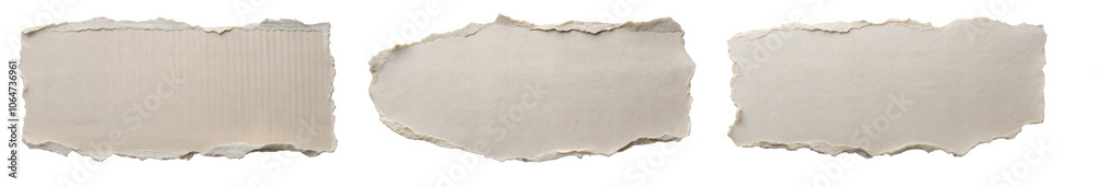 Obraz premium Set of Torn Blank Paper Pieces with Rough Edges, Isolated on White Background for Text or Design