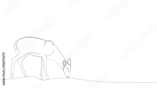 deer, Continuous one line drawing, Christmas or New Year decoration, Contour sketch of reindeer. Forest wild deer in single line, Christmas deer with one line minimalist abstract style