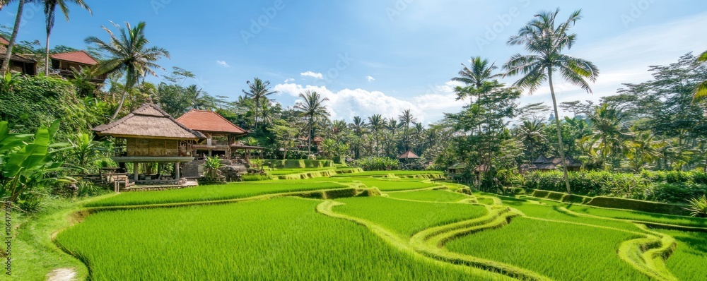 Lush green rice terraces under a bright sky with palm trees in a serene landscape. Lush green rice terraces under a bright sky with palm trees in a serene landscape.