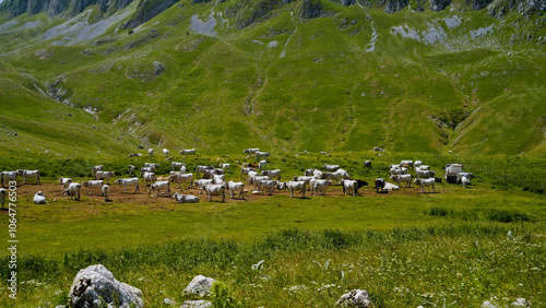 Campitello Matese,la strada panoramica SP106,Campobasso,Molise,Italia photo