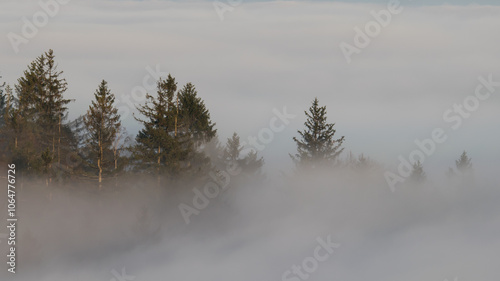 Sunset in the Teplice-Adršpašské rocks. The sun is low on the horizon and the inverted clouds create stunning scenery that makes it seem as if you are above the clouds.