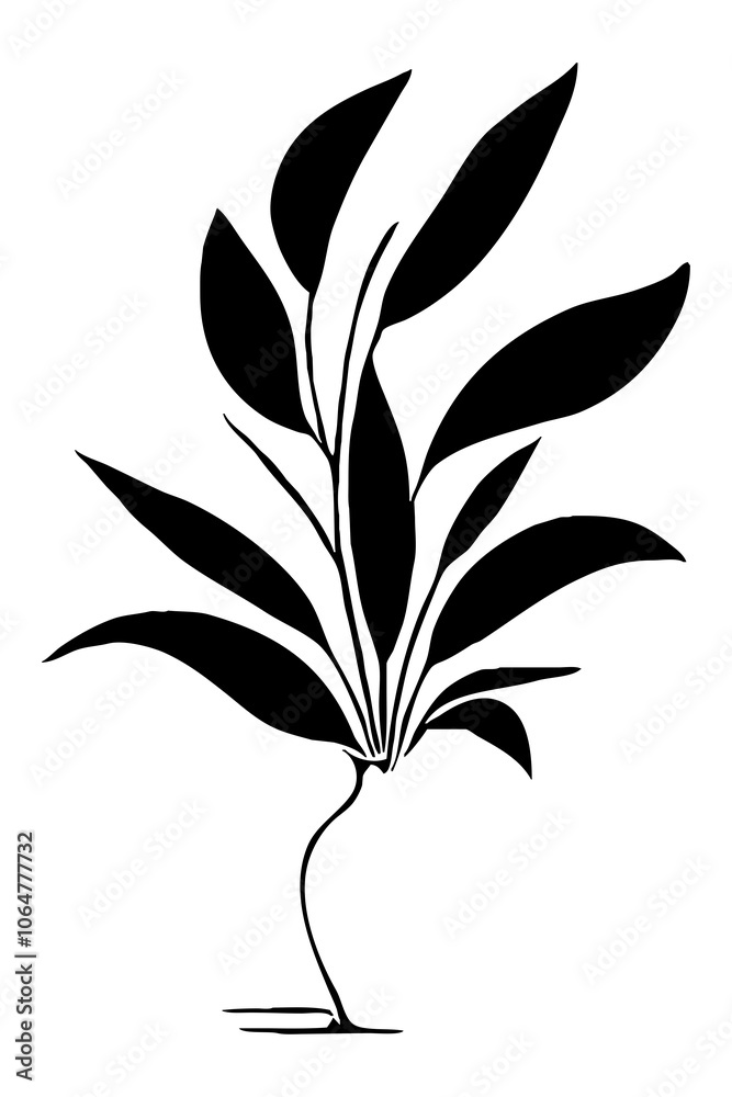 Abstract black and white pattern. For use in graphics. Minimalist illustration for printing on wall decorations Abstract black and white pattern. For use in graphics. Minimalist illustration for printing on wall decorations