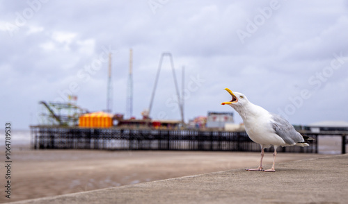 Bild auf Leinwand The Seagull Is A Large Bird Often Seen At The Seaside Trying To Steal Food Etc F