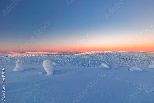 winter landscape with snow photo