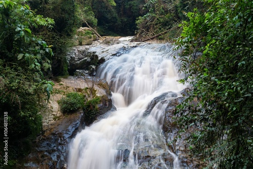 Serene Robinson Falls cascading through lush green foliage in Cameron highland, Malaysia