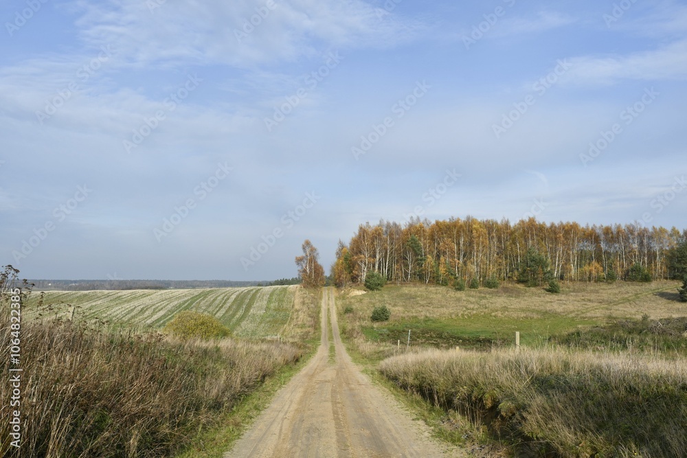 Rural Road Leading to Autumn Forest Rural Road Leading to Autumn Forest