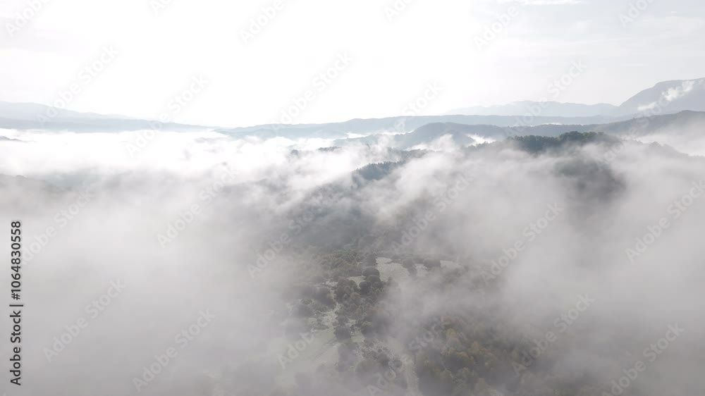 Aerial overview of Vikos Gorge shrouded in mist, capturing the majestic cliffs and dense fog Aerial overview of Vikos Gorge shrouded in mist, capturing the majestic cliffs and dense fog