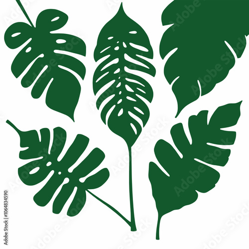 a collection of four different types of tropical leaves on vector type