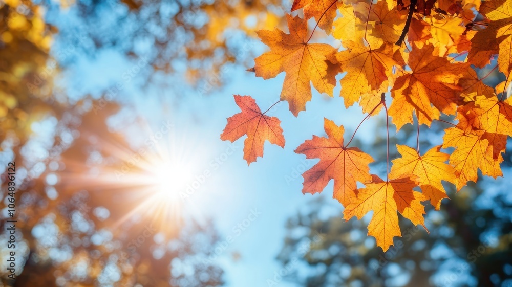 Autumn background with maple leaves and bokeh,Fall blurred background, Yellow and red maple leaves are flying and falling down. Autumnal landscape.water drop on leaf,space for text. Autumn background with maple leaves and bokeh,Fall blurred background, Yellow and red maple leaves are flying and falling down. Autumnal landscape.water drop on leaf,space for text.