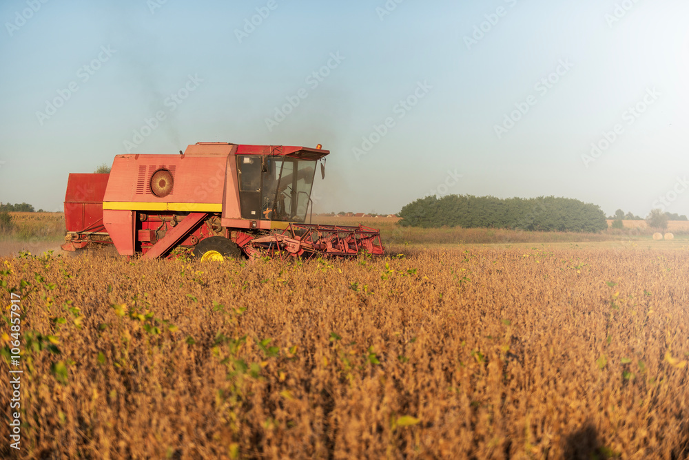 Obraz premium Harvester working in Fields Harvesting Soy
