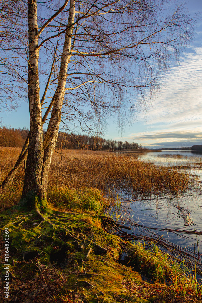 Autumn scene at the lake Lielezers in November on a partly cloudy afternoon in Limbazi in Latvia Autumn scene at the lake Lielezers in November on a partly cloudy afternoon in Limbazi in Latvia