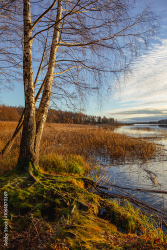 Autumn scene at the lake Lielezers in November on a partly cloudy afternoon in Limbazi in Latvia photo