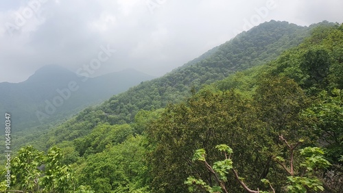 Road to Mount Abu during monsoon, India, Rajashtan, Sirohi photo