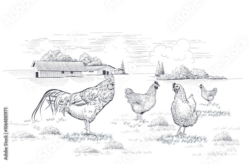 Rural landscape with hens and rooster on meadow. Hand-drawn vector illustration in linear style
