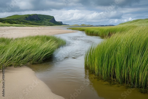 Brackish Waters: Reed Grass and Green Summer Landscape Along a River Flowing into Ocean Bay photo