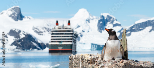 Gentoo Penguin Breeding on Nest with Newborn Chick. Blurred Cruise Ship in the Bay Surrounded by Snow-Capped Mountains, Petermann Island, Antarctica.