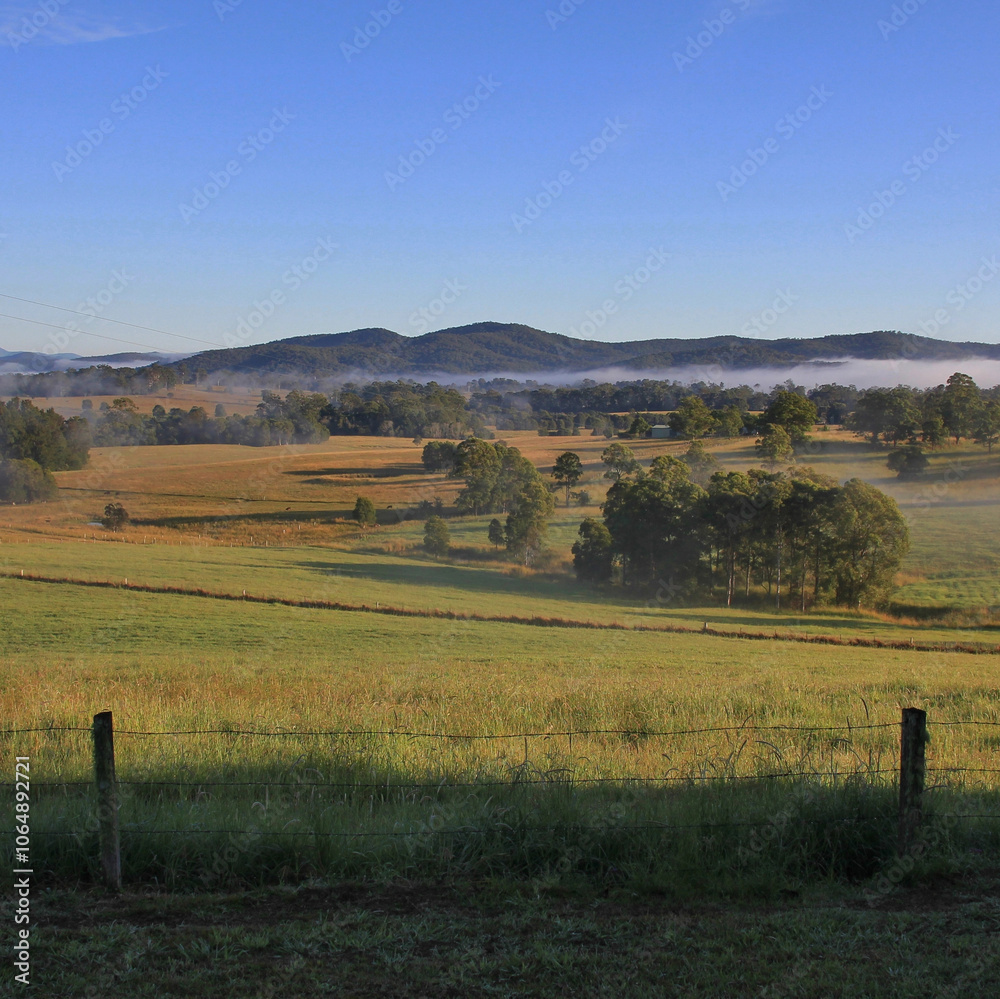 custom made wallpaper toronto digitalAutumn morning in rural Wauchope, Australia