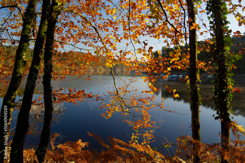 Atumns leaves with still water in the background and blue sky. Lake in Brittany, France.