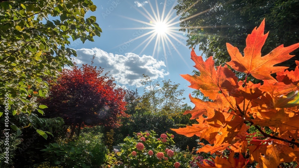 Autumn background with maple leaves and bokeh,Fall blurred background, Yellow and red maple leaves are flying and falling down. Autumnal landscape.water drop on leaf,space for text. Autumn background with maple leaves and bokeh,Fall blurred background, Yellow and red maple leaves are flying and falling down. Autumnal landscape.water drop on leaf,space for text.