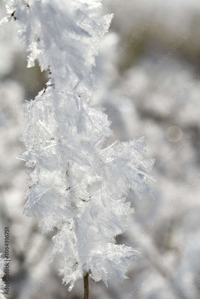 Raureif, Eiskristalle Raureif, Eiskristalle
