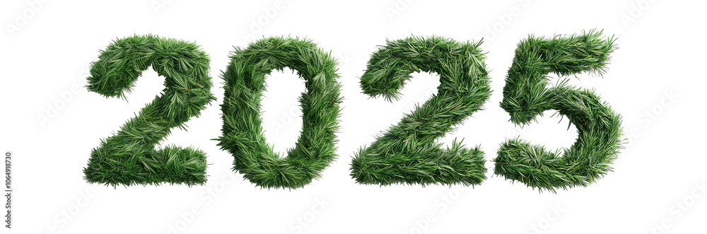 2025 Lettering number made from fir tree branches isolated on transparent background, PNG. Clipart template 2025 Lettering number made from fir tree branches isolated on transparent background, PNG. Clipart template