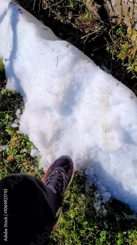 snow - autumn day, early snow, wet snowdrift, a girl tramples it with her boot, vertical shooting photo