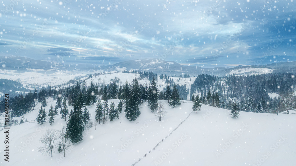 Aerial winter rural landscape with fir tree forest, mountains and snow-covered valley