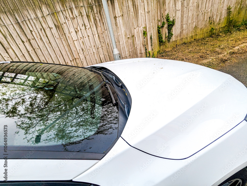 Obraz premium Vehicle Covered In Debris From An Overhanging Willow Tree