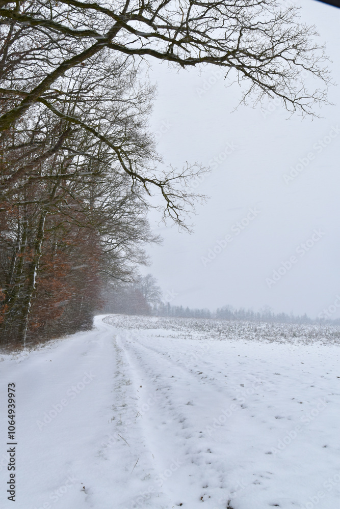 Fototapeta premium Wetter, Schneefall, Schneeschauer