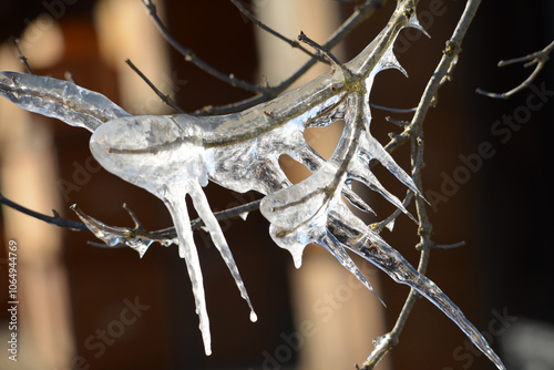 Eis, Eiszapfen photo