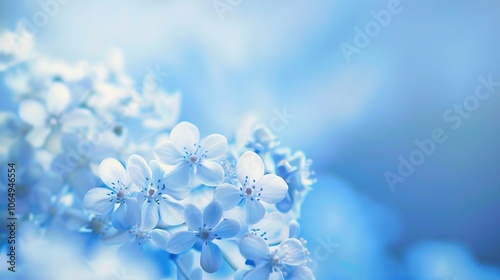 The Allure of a Blue Background: A Symphony of Serenity and Wonder,the blue background is a canvas of endless possibilities.