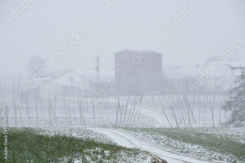 Wetter, Schneefall, Schneeschauer photo