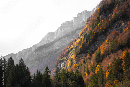 landscape of mountains with snow on the top, surrounded by forests with beautiful pine trees on autumn days during a clear sky