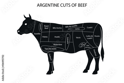 Diagram of Argentine Beef Cuts on Cattle Silhouette