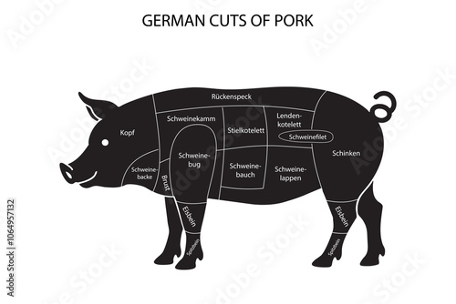 Diagram of German Pork Cuts with Labels