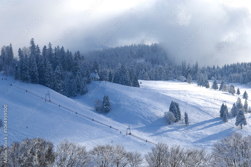 Fototapeta premium Schnee, Winter, Schwarzwald