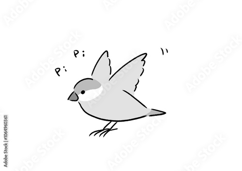 元気なシルバー文鳥 mono
