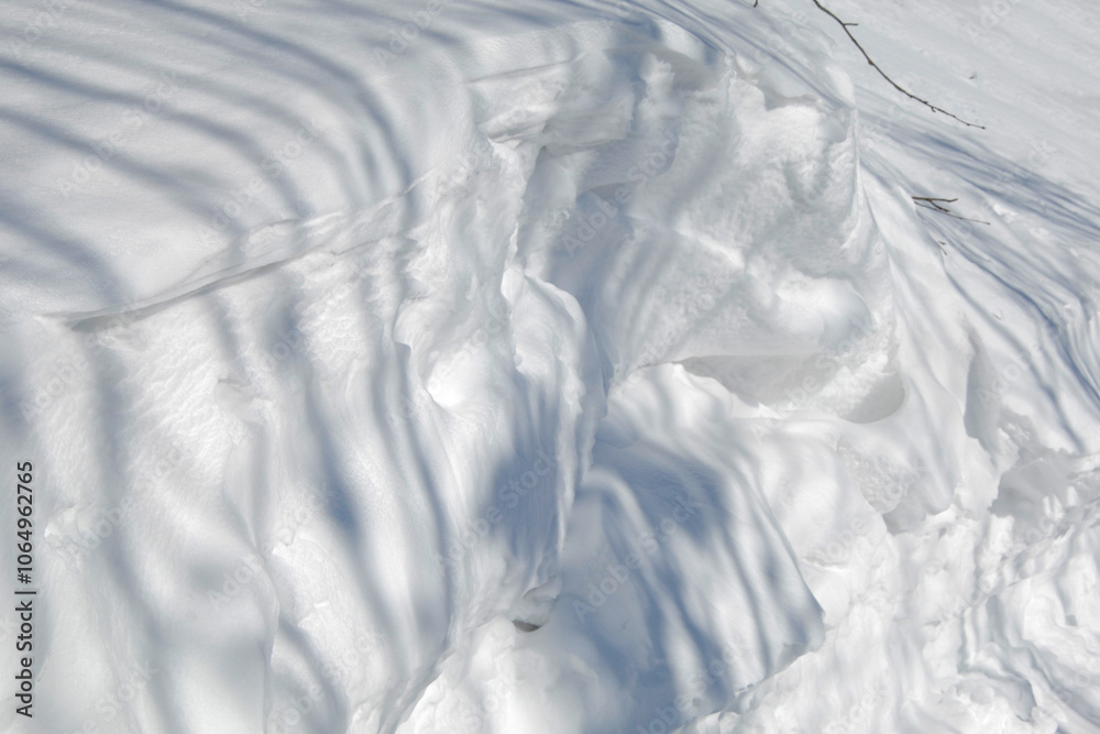 Fototapeta premium Schnee, Winter, Schwarzwald