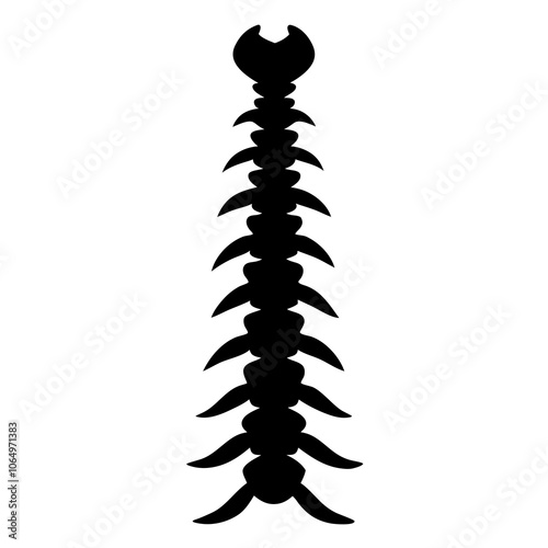 Spine Silhouette vector illustration