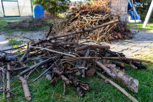 Heap of green waste in autumn to burn in the garden photo