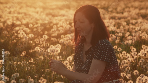 Woman Blowing On A Dandelion. Pretty Female With Golden Brown Hair Blowing Dandelion On Sunset Background. Slow motion. photo