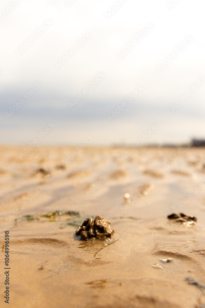 Obraz premium A Typical British Beach View From One Of The UK's Coastlines