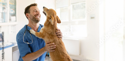 Happy male vet doctor in uniform cuddling and playing with Pembroke Welsh Corgi dog after treatment in clinic office, copy space photo