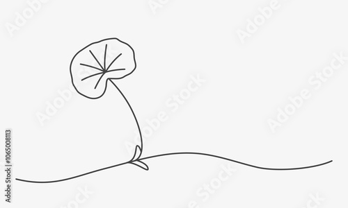 Hand Drawn Gotu Kola (centella asiatica) plant thin line. Vector illustration