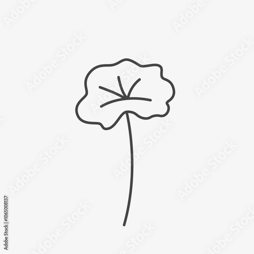 Centella Asiatica Plant Outline Icon. Hand Drawn illustration of Gotu Kola. Vector